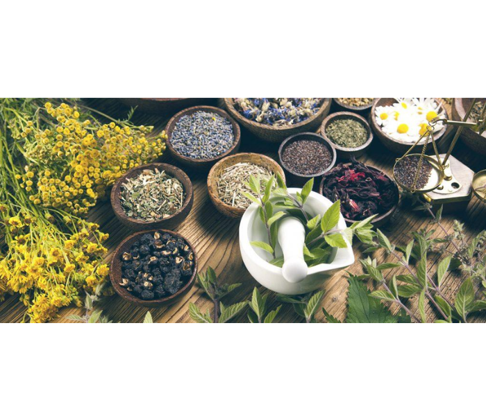 What is Natural Holistic Healthcare and Why is it Important in Our Lives?