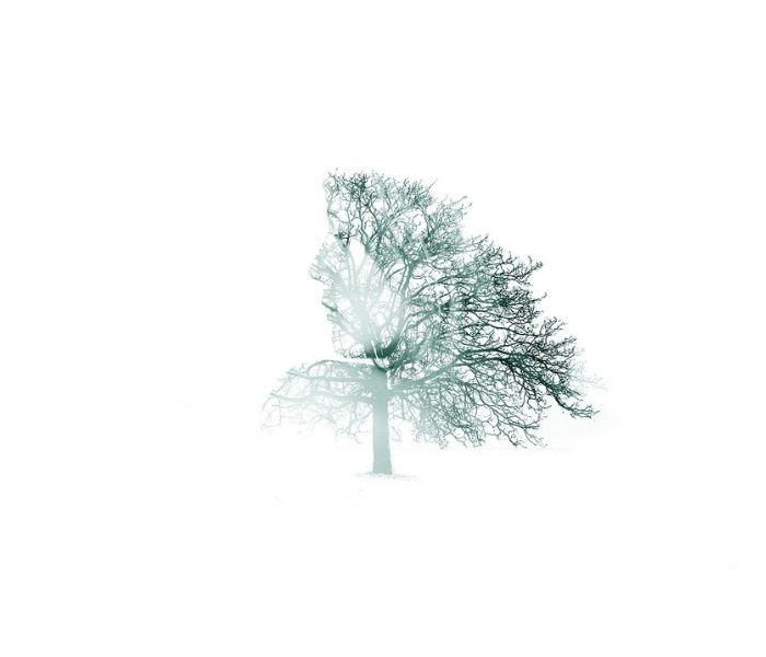 Types of Natural Holistic Healthcare Medical Methods Types of Natural Holistic Healthcare Medical Methods