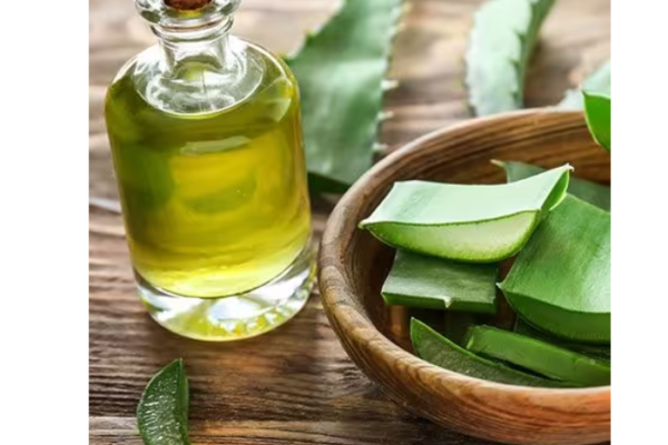 Aloe Vera and Olive Oil for Hair: