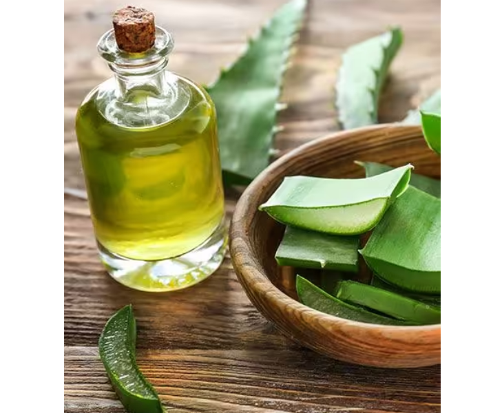 Aloe Vera and Olive Oil for Hair: