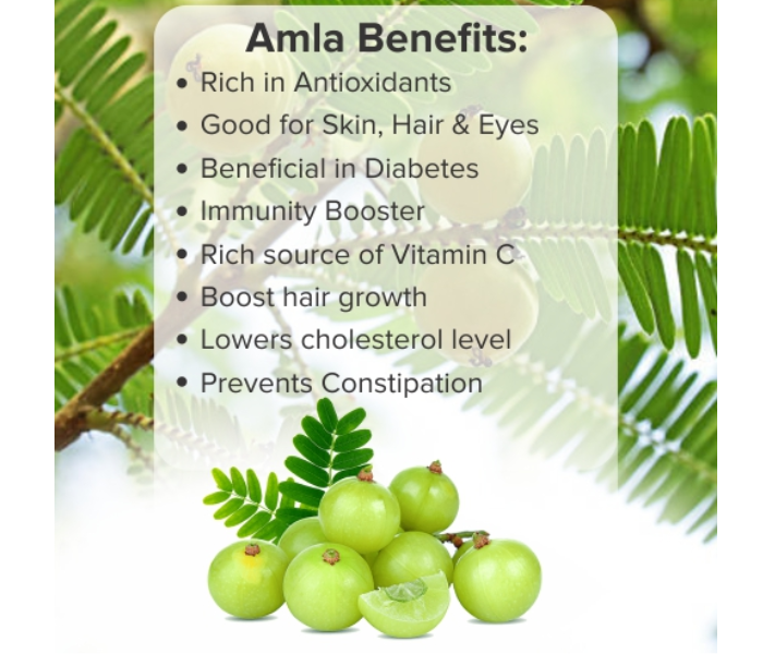 Amla Powder for Hair Amla Powder for Hair