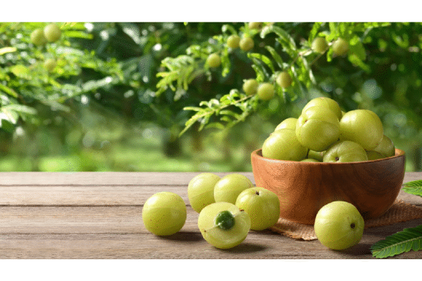 Amla Powder for Hair