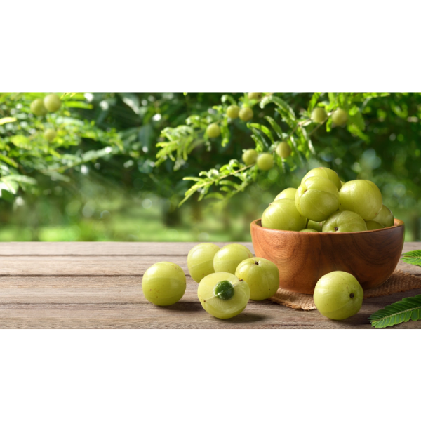 Amla Powder for Hair: Nature’s Secret to Stronger, Healthier Hair Amla Powder for Hair