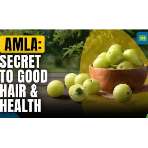 Amla Powder for Hair: Nature’s Secret to Stronger, Healthier Hair Amla Powder for Hair