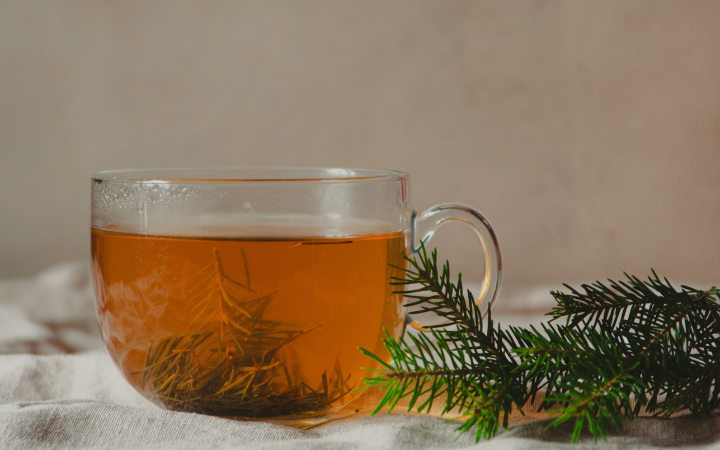 Homemade rosemary water for hair growth
